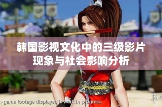 韩国影视文化中的三级影片现象与社会影响分析