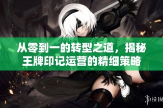 从零到一的转型之道，揭秘王牌印记运营的精细策略