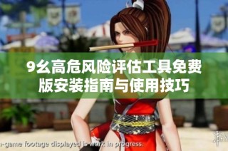 9幺高危风险评估工具免费版安装指南与使用技巧
