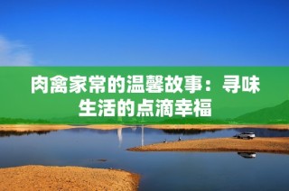 肉禽家常的温馨故事：寻味生活的点滴幸福