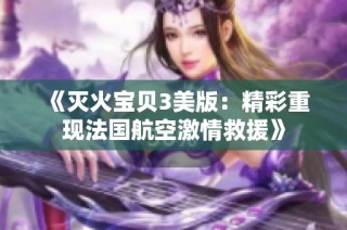 《灭火宝贝3美版：精彩重现法国航空激情救援》