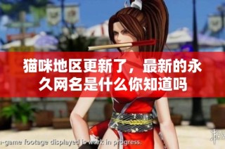 猫咪地区更新了，最新的永久网名是什么你知道吗