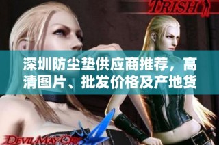 深圳防尘垫供应商推荐，高清图片、批发价格及产地货源全解析来袭