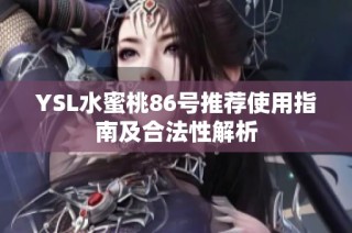 YSL水蜜桃86号推荐使用指南及合法性解析