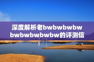 深度解析老bwbwbwbwbwbwbwbwbw的评测信息与使用体验