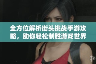 全方位解析街头挑战手游攻略，助你轻松制胜游戏世界