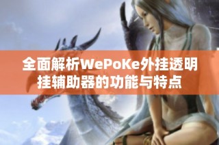 全面解析WePoKe外挂透明挂辅助器的功能与特点