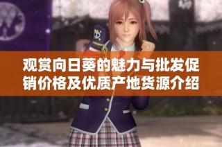 观赏向日葵的魅力与批发促销价格及优质产地货源介绍