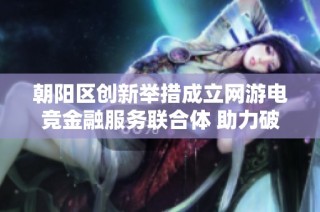 朝阳区创新举措成立网游电竞金融服务联合体 助力破解融资难题降低融资成本