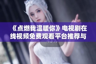 《点燃我温暖你》电视剧在线视频免费观看平台推荐与观影指南