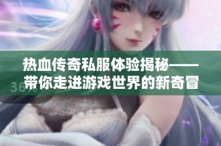 热血传奇私服体验揭秘——带你走进游戏世界的新奇冒险之旅