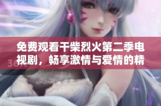免费观看干柴烈火第二季电视剧，畅享激情与爱情的精彩故事