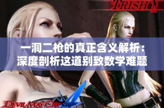 一洞二枪的真正含义解析：深度剖析这道别致数学难题