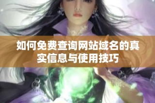 如何免费查询网站域名的真实信息与使用技巧