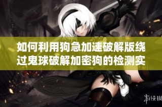 如何利用狗急加速破解版绕过鬼球破解加密狗的检测实现软件自由使用