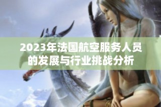 2023年法国航空服务人员的发展与行业挑战分析