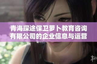 青海琛途保卫萝卜教育咨询有限公司的企业信息与运营分析