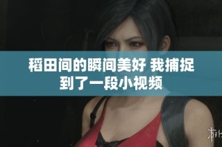 稻田间的瞬间美好 我捕捉到了一段小视频