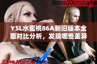 YSL水蜜桃86A新旧版本全面对比分析，发现哪些差异和新亮点