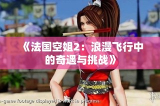 《法国空姐2：浪漫飞行中的奇遇与挑战》