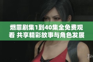 燃罪剧集1到40集全免费观看 共享精彩故事与角色发展