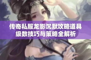 传奇私服龙影沉默攻略道具级数技巧与策略全解析