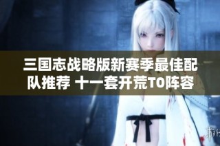 三国志战略版新赛季最佳配队推荐 十一套开荒T0阵容详解