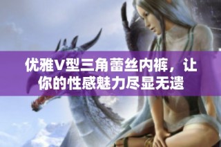 优雅V型三角蕾丝内裤，让你的性感魅力尽显无遗