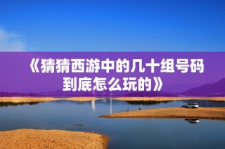 《猜猜西游中的几十组号码到底怎么玩的》