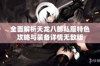 全面解析天龙八部私服特色攻略与装备详情无敌版