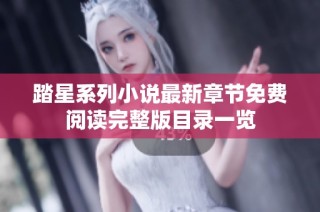 踏星系列小说最新章节免费阅读完整版目录一览