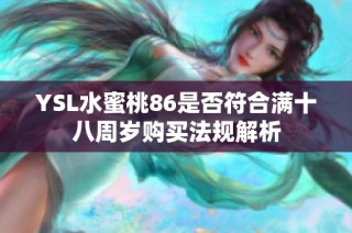 YSL水蜜桃86是否符合满十八周岁购买法规解析