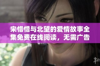 宋惜惜与北望的爱情故事全集免费在线阅读，无需广告干扰