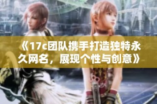 《17c团队携手打造独特永久网名，展现个性与创意》