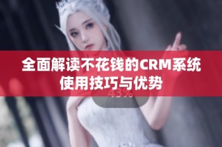 全面解读不花钱的CRM系统使用技巧与优势
