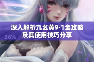 深入解析九幺黄9·1全攻略及其使用技巧分享