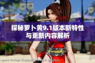 探秘萝卜黄9.1版本新特性与更新内容解析