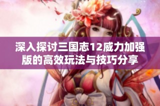 深入探讨三国志12威力加强版的高效玩法与技巧分享
