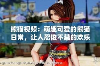 熊猫视频：萌趣可爱的熊猫日常，让人忍俊不禁的欢乐时刻