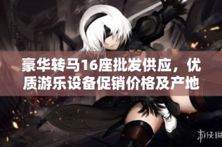 豪华转马16座批发供应，优质游乐设备促销价格及产地信息分享