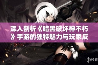 深入剖析《暗黑破坏神不朽》手游的独特魅力与玩家反响的热点争论