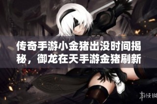传奇手游小金猪出没时间揭秘，御龙在天手游金猪刷新时间全攻略分享