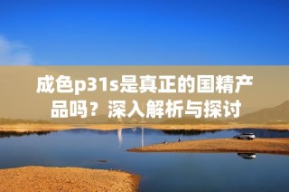 成色p31s是真正的国精产品吗？深入解析与探讨