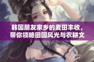 韩国朋友家乡的麦田丰收，带你领略田园风光与农耕文化