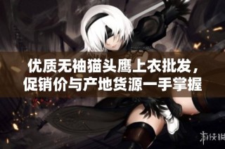 优质无袖猫头鹰上衣批发，促销价与产地货源一手掌握