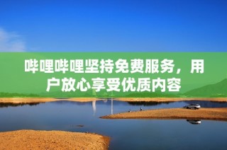 哔哩哔哩坚持免费服务，用户放心享受优质内容