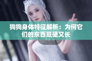 狗狗身体特征解析：为何它们的东西既硬又长