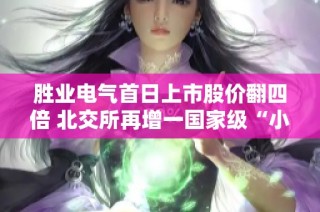 胜业电气首日上市股价翻四倍 北交所再增一国家级“小巨人”企业