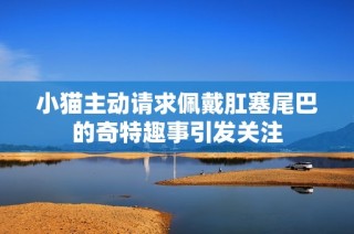 小猫主动请求佩戴肛塞尾巴的奇特趣事引发关注