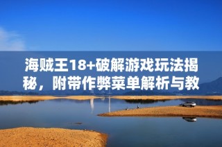 海贼王18+破解游戏玩法揭秘，附带作弊菜单解析与教授